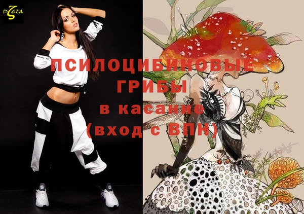 Альфа ПВП Новозыбков