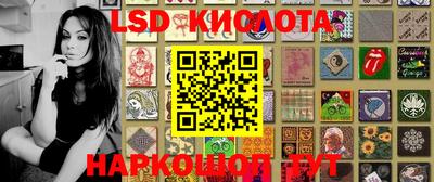 гашик Кингисепп