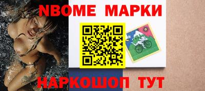 гашик Кингисепп