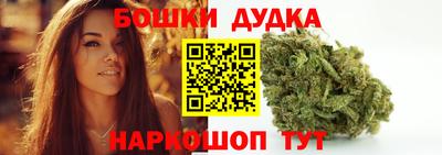 гашик Кингисепп