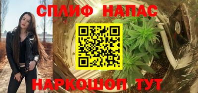 гашик Кингисепп