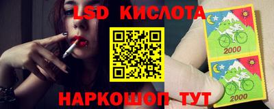 гашик Кингисепп