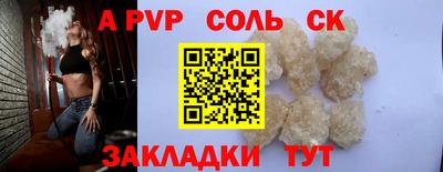 гашик Кингисепп