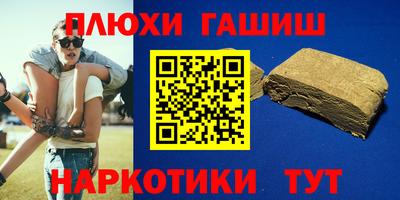 гашик Кингисепп