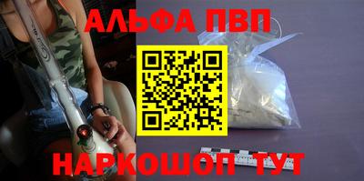 гашик Кингисепп