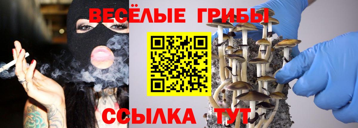 Пыть-Ях  как найти закладки  Вход с VPN  Псилоцибиновые грибы мицелий 