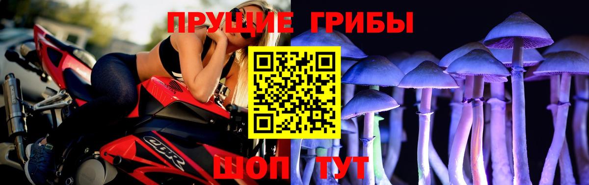 Галлюциногенные грибы Cubensis  Пыть-Ях 